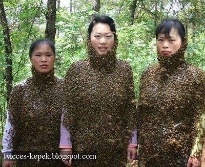 Méhkirálynők