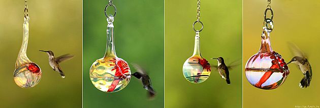 Üveg kolibri etetők